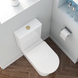 Imex Flush Button Imex Flush Button for Close Coupled Cisterns