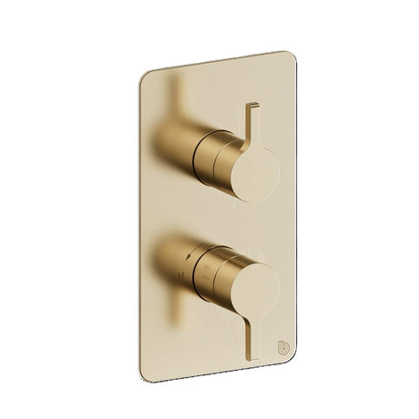 Britton Concealed Shower Valve Brushed Brass Britton Hoxton 2.0 1 Outlet, 2 Handle Concealed Thermostatic Shower Valve