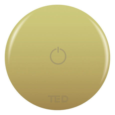 TED Concealed Shower Valve Brushed Brass TED Togo Wall Mounted Wireless Remote Control Button