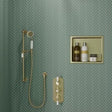 Aquarius Bathrooms Shelf Brushed Brass / 305 x 360mm Aquarius Shower Niche