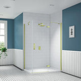 Merlyn Ionic Essence Frameless Hinged Shower Door and Inline Panel