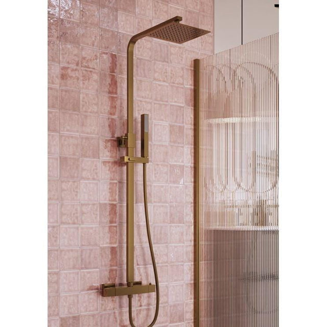 Aquarius Shower Set Aquarius Zanelli Square Exposed Valve Adjustable Shower Set in Brushed Bronze