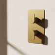 Crosswater Concealed Shower Valve Brushed Brass Crosswater Fuse 1 Outlet, 2 Handle Vertical Concealed Shower Valve