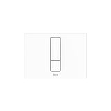Roca Flush Plate Matt White Roca Duplo-S PS4 Flush Plate