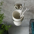 Vado Toothbrush Holder Bright Nickel Booth & Co. Axbridge Ceramic Tumbler and Holder and Holder