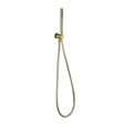 Aquarius Shower Handset Brushed Brass Aquarius RainLux Integrated Outlet Round Handheld Shower Kit