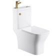 Aquarius Bathrooms Combination Toilet and Sink Aquarius SpaceSaver All-in-One Square Toilet and Basin Unit with Brushed Brass Tap and Waste