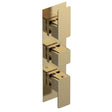 Aquarius Bathrooms Concealed Shower Valve Brushed Brass Aquarius Tetra 2-Outlet Triple Handle Thermostatic Concealed Valve