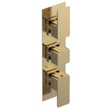 Aquarius Bathrooms Concealed Shower Valve Brushed Brass Aquarius Tetra 2-Outlet Triple Handle Thermostatic Concealed Valve