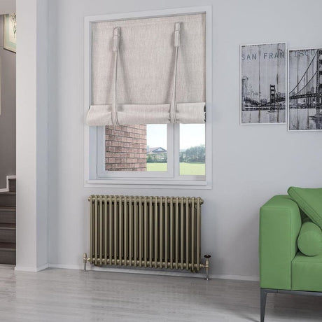 Eastbrook Column Radiator 600 x 1010 / Central Heating Eastbrook Rivassa Traditional 2 Column Radiator in Bronze Effect